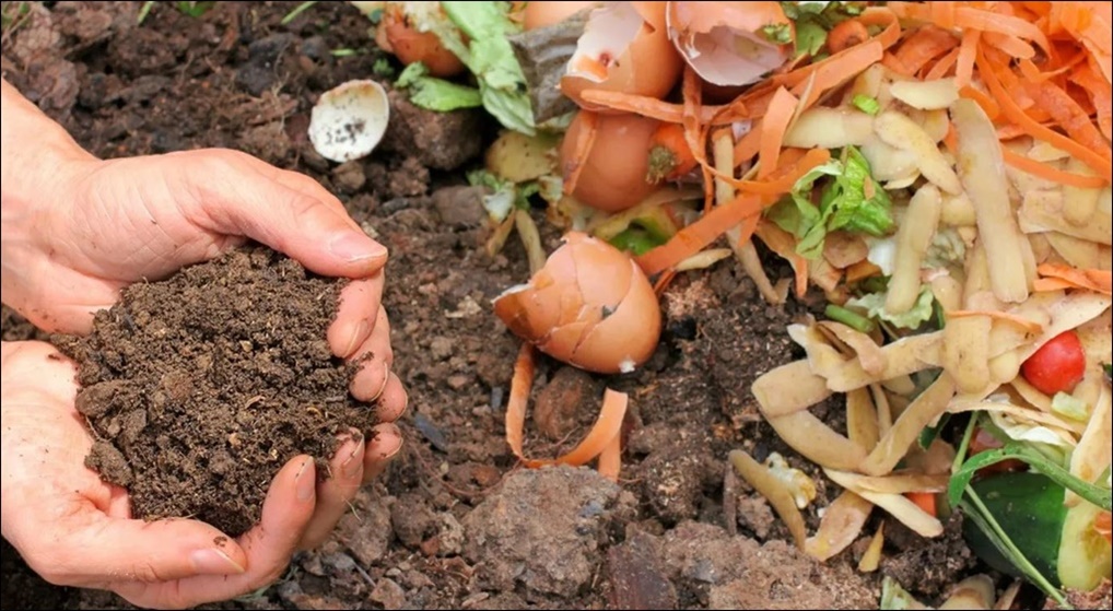 The Benefits of Composting