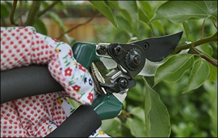 Hand Pruning Tools & Tips - Handles 