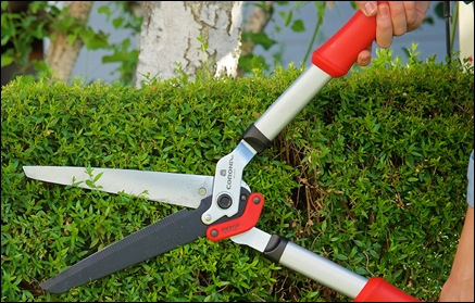 Hand Pruning Tools & Tips - Hedge Pruning Shears