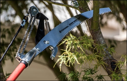 Hand Pruning Tools & Tips - Pole Pruning Saw