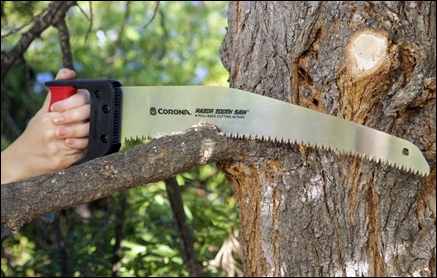 Hand Pruning Tools & Tips - Pruning Saw