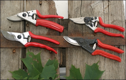 Pruning - Tools & Tips - Quality is Critical