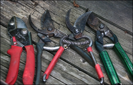Hand Pruning Tools & Tips - Quality