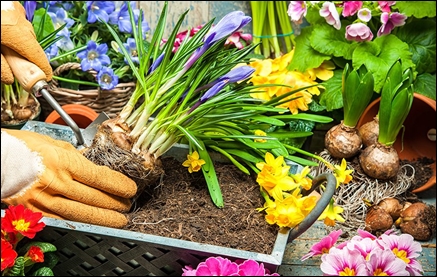  Putting Your Garden To bed For Winter - Prepping for Spring
